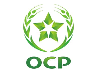 OCP GROUP